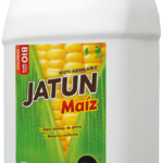 JATUN MAÍZ