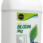 BLOOM MG - Ca, B, Zn + Mg