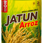 JATUN ARROZ