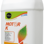 MOTOR K - Traslocador de azúcares - ORGÁNICO